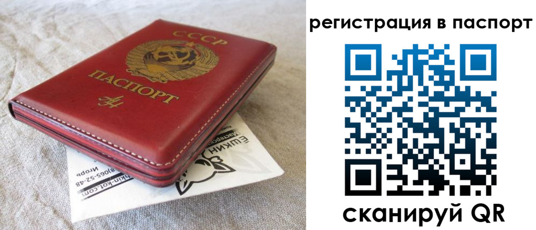 где прописаться в Семилуках